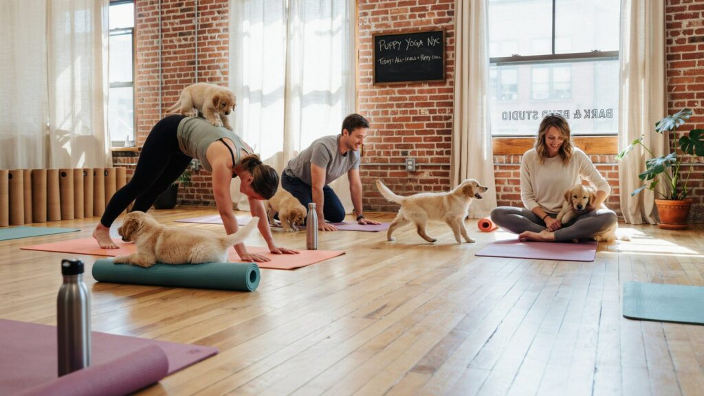 puppy yoga membership

