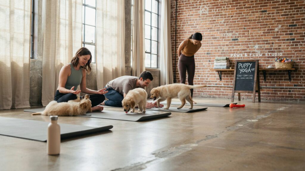 puppy yoga price
